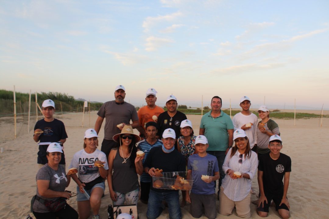 Integrantes Del Programa Municipal De Protecci N A La Tortuga Marina De