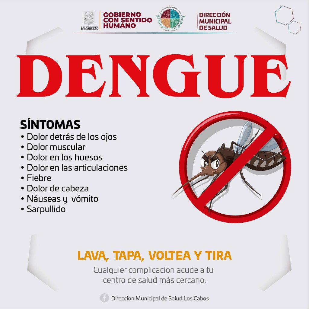 Gobierno de Los Cabos implementa campañas de fumigación para prevenir