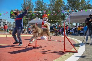 Alcaldía Tláhuac Inaugura Parque Canino Más Grande De CDMX