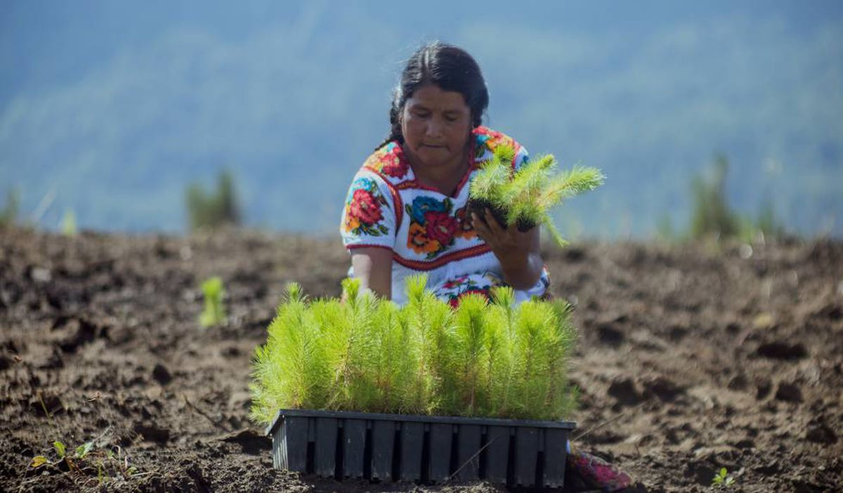 P Del Cambio Climático En El Sector Agroalimentario