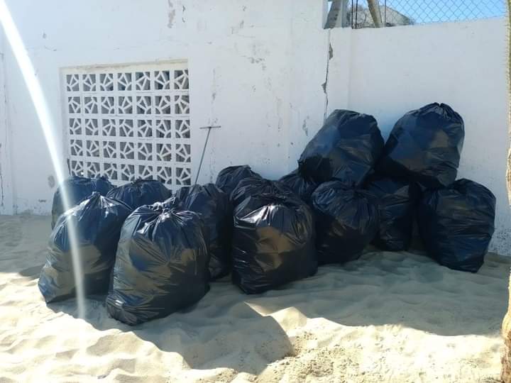 Zofemat Los Cabos Promueve La Conservación Ambiental En Playas 